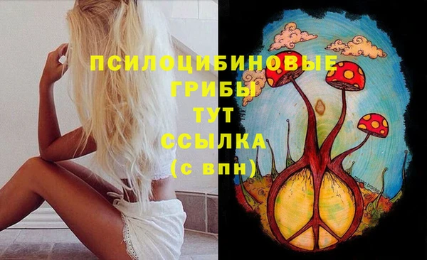 ECSTASY Алексеевка