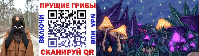 Галлюциногенные грибы Psilocybe  Туринск 